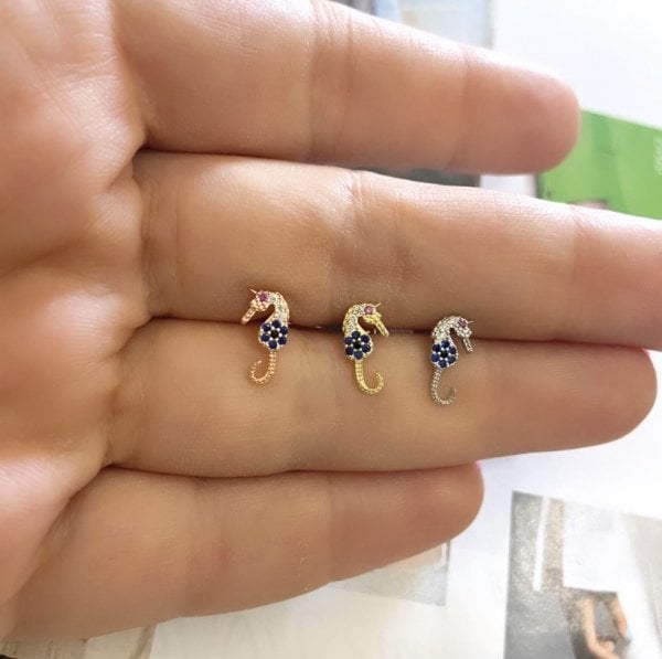 DENİZ ATI TRAGUS