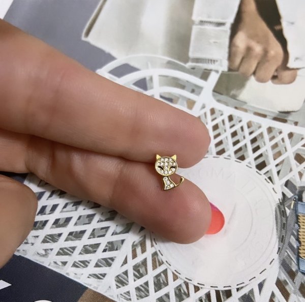CAN KEDİ TRAGUS