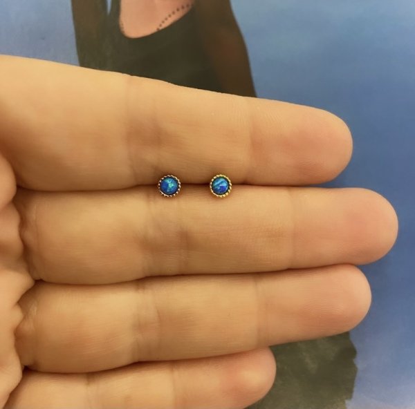 OPAL TRAGUS
