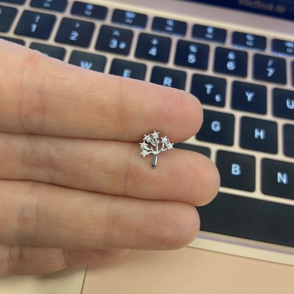 AĞAÇ TRAGUS
