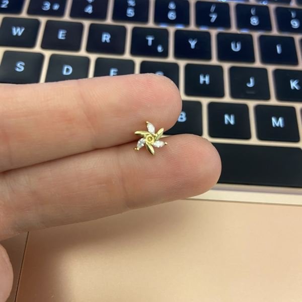RÜZGAR GÜLÜ TRAGUS