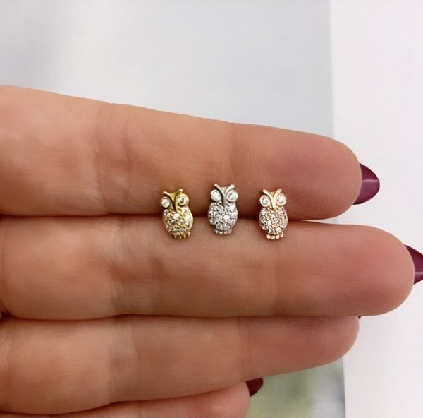 BAGET BAYKUŞ TRAGUS