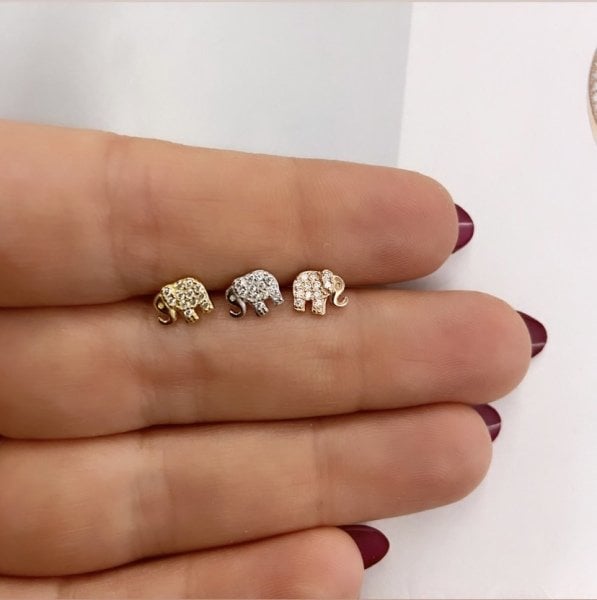 FİL TRAGUS