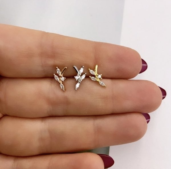 BAGET DAL TRAGUS