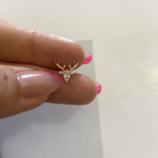 GEYİK TRAGUS