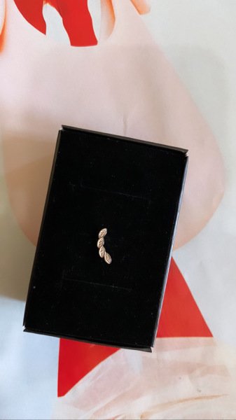 SİLÜET YAPRAK TRAGUS