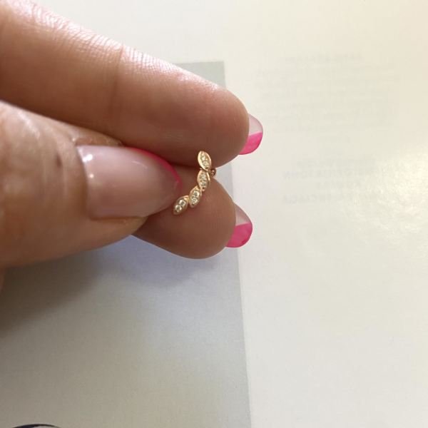 SİLÜET YAPRAK TRAGUS