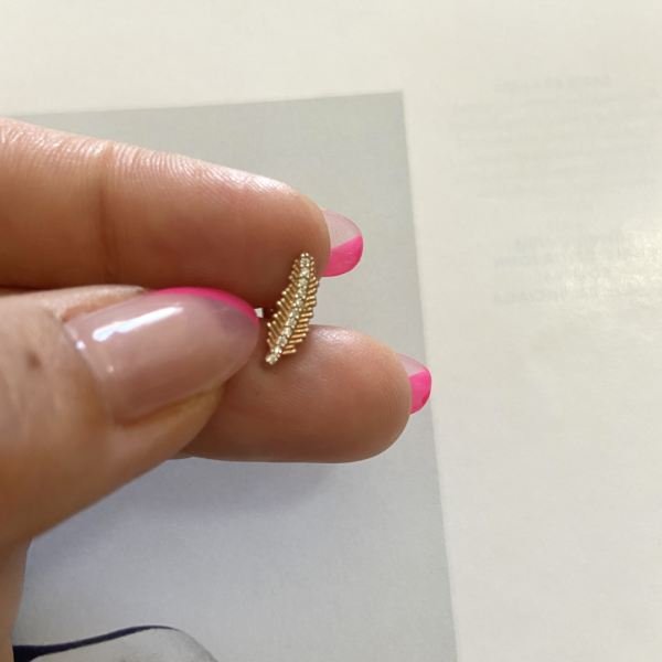 ZİRKON DAMARLI YAPRAK TRAGUS