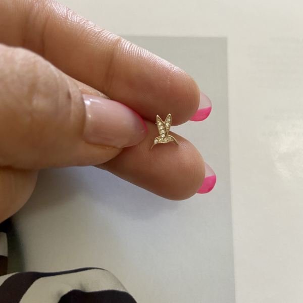 KUŞ TRAGUS
