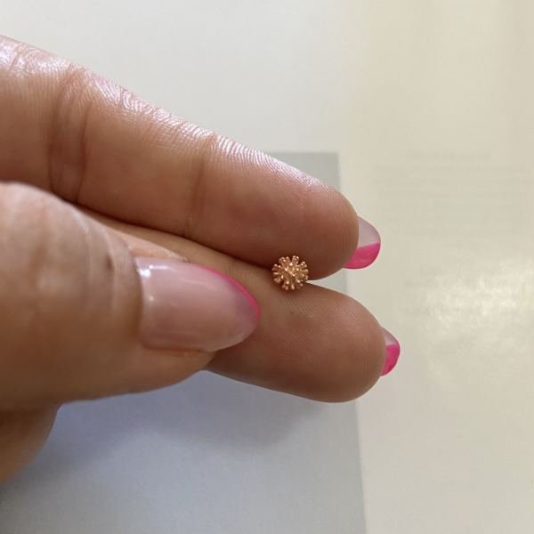 DEMET TRAGUS