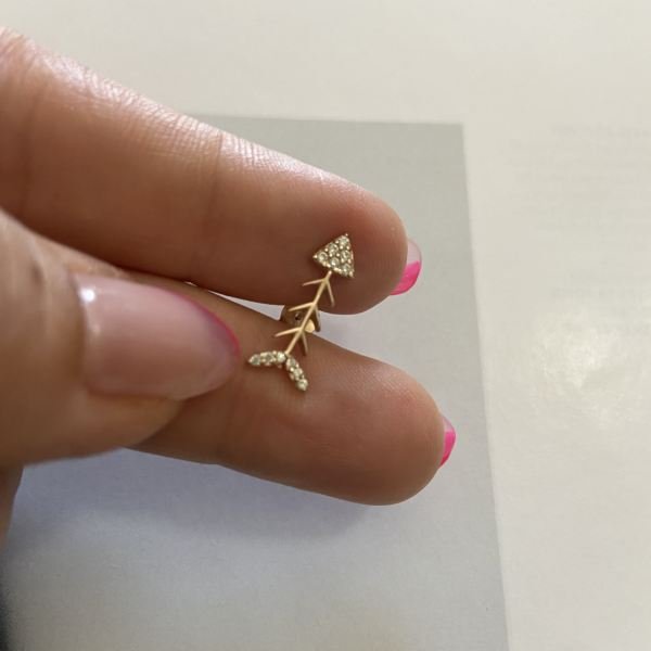 KILÇIK TRAGUS