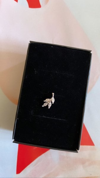 DÖRT YAPRAK TRAGUS