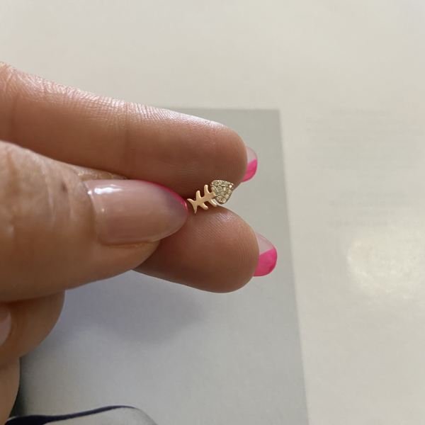 MİNİK BALIK TRAGUS