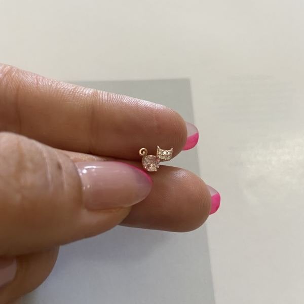 ZİRKON KEDİ TRAGUS