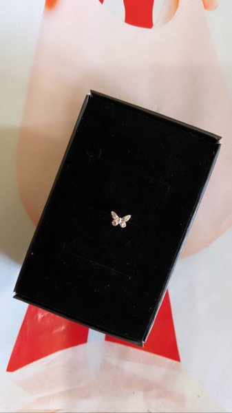 MİNİK KELEBEK TRAGUS