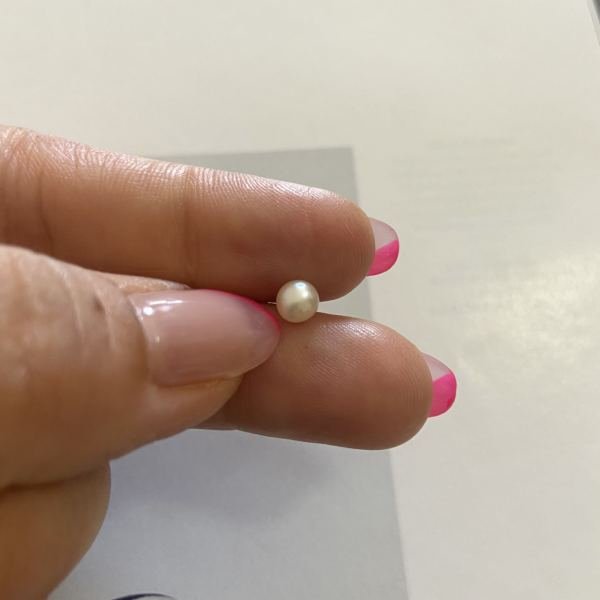 TOP İNCİ TRAGUS
