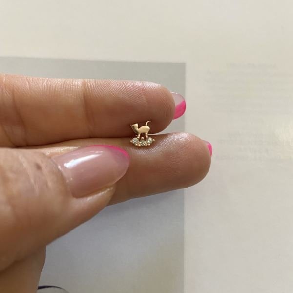 CEYLAN TRAGUS