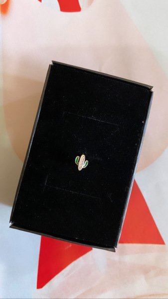 ZİRKON KAKTÜS TRAGUS