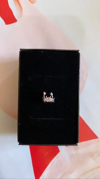 YENGEÇ TRAGUS