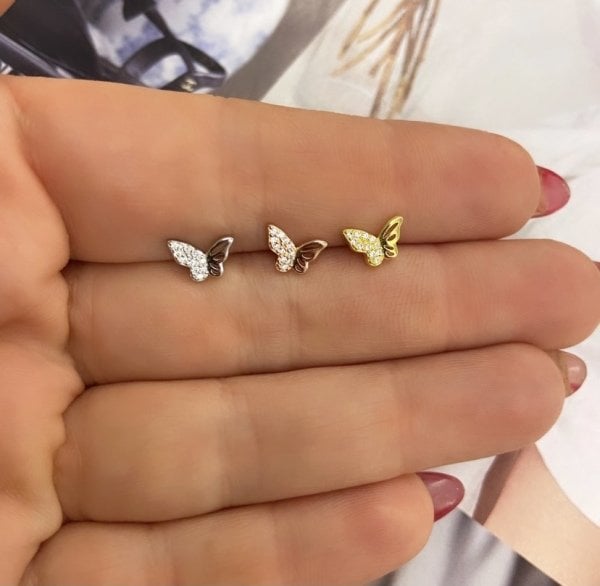 PIRIL TRAGUS