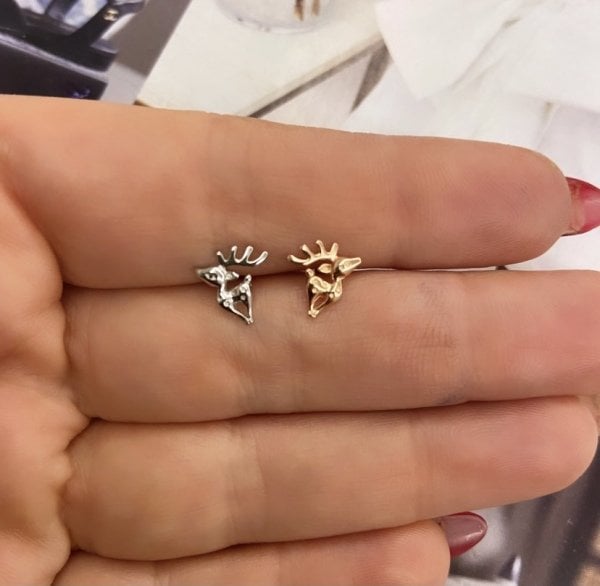 REN GEYİK TRAGUS
