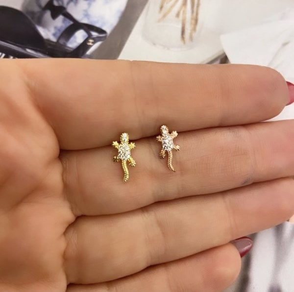 BAGET KERTENKELE TRAGUS