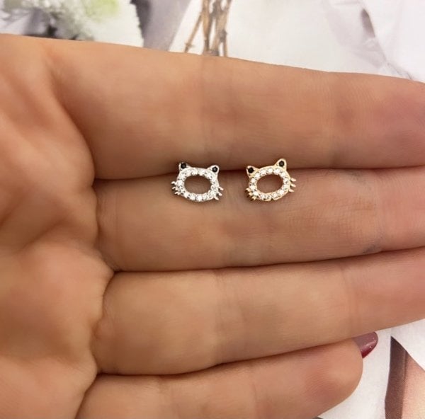 PİSİ PİSİ TRAGUS