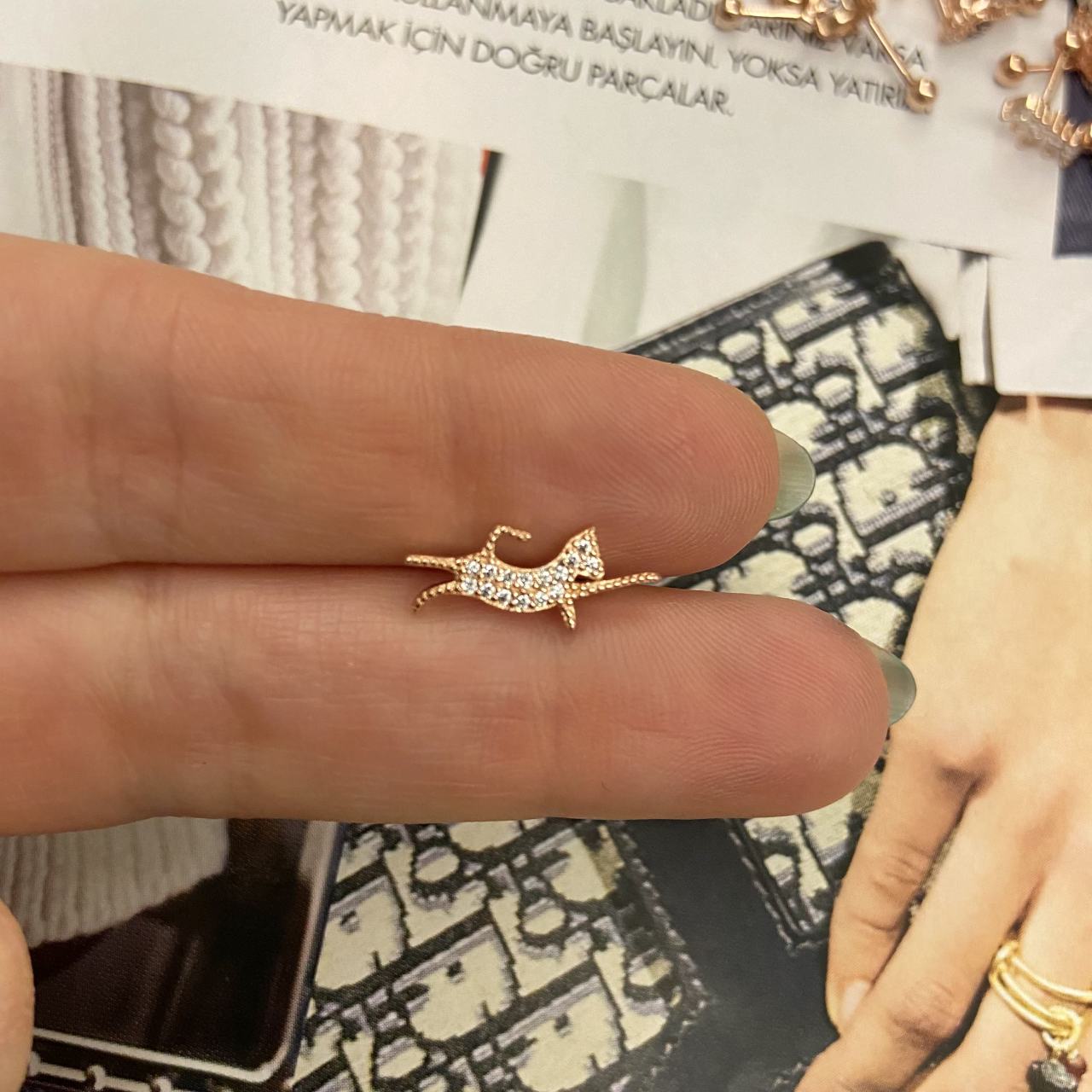 SIÇRAYAN KEDİ TRAGUS