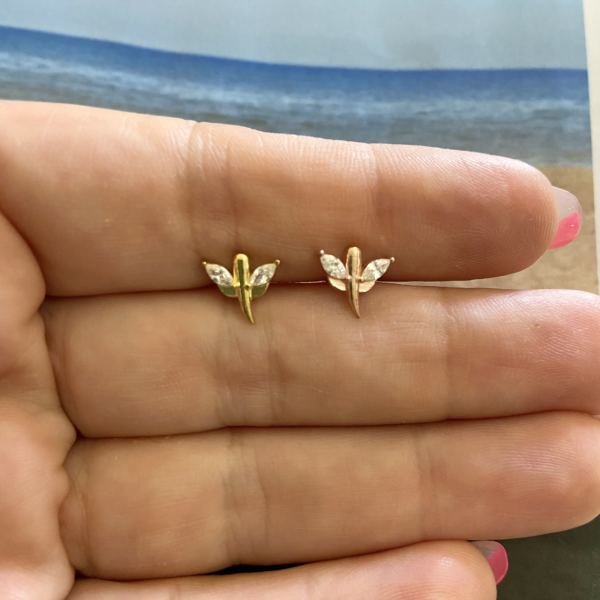 TAŞLI YUSUFÇUK TRAGUS